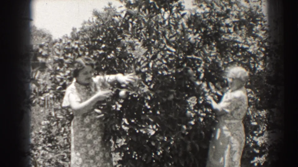 Two women in period dresses continue trimming a leafy tree in the 1937 Long Beach garden scene.