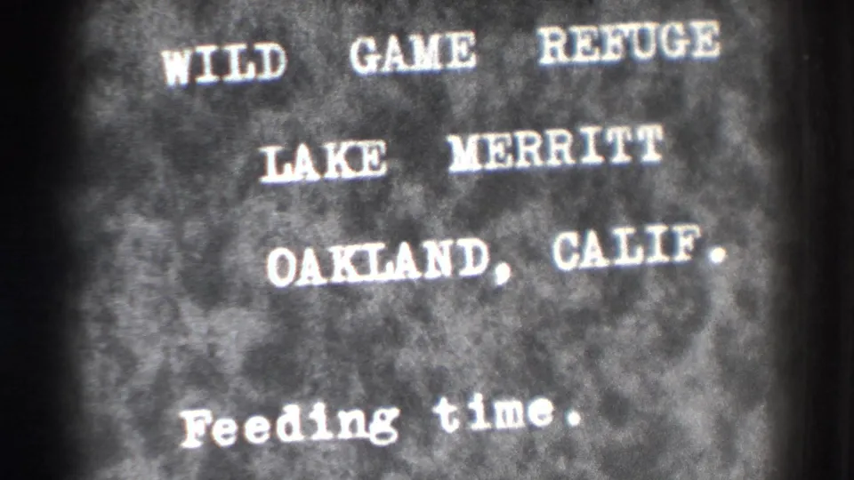 Title card identifies Wild Game Refuge, Lake Merritt, Oakland, Calif., and labels the scene as Feeding time.
