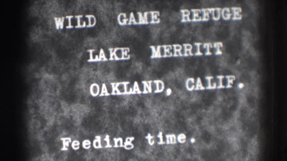 Black-and-white home-movie title card repeats the Lake Merritt Wild Game Refuge location and Feeding time caption.