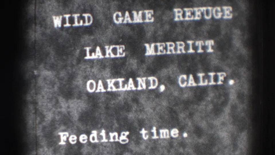 Final title-card frame shows the Oakland Lake Merritt Wild Game Refuge wording with visible 8mm grain and soft contrast.