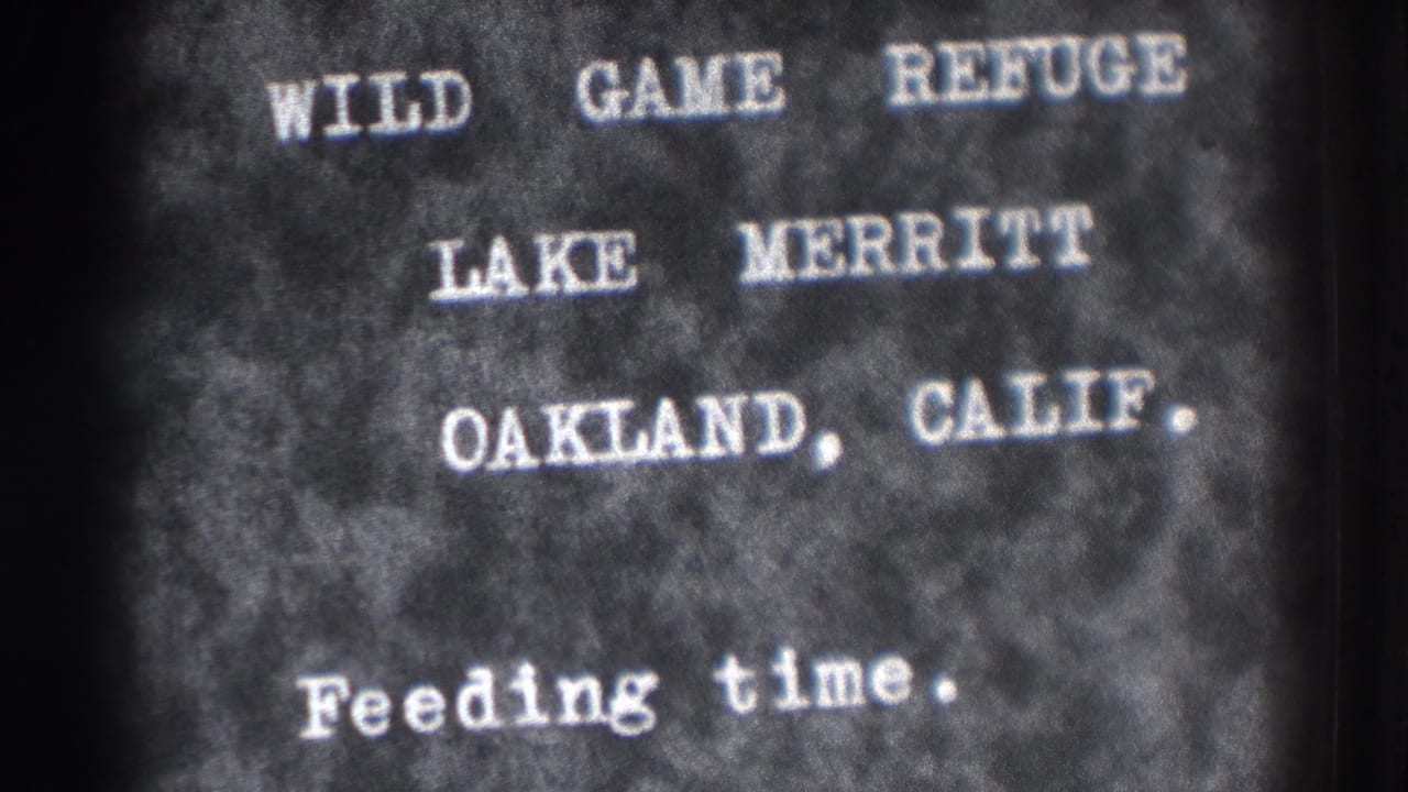Title card reading Wild Game Refuge Lake Merritt Oakland, Calif. Feeding time.