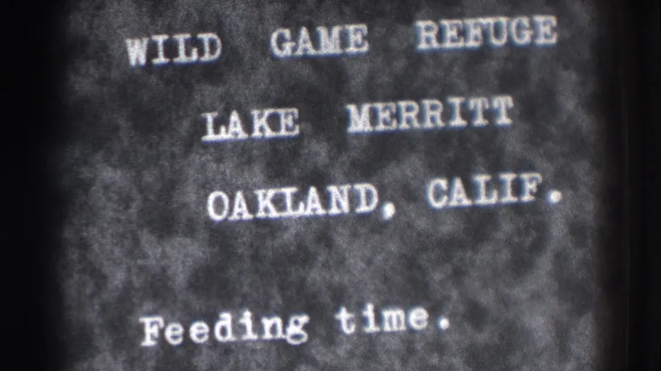1937 Oakland home-movie title card with white text identifying Wild Game Refuge, Lake Merritt, Oakland, Calif., and feeding time.