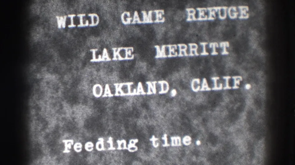 Grainy 8mm frame showing the Lake Merritt Wild Game Refuge title card for Oakland, California, with feeding-time text.