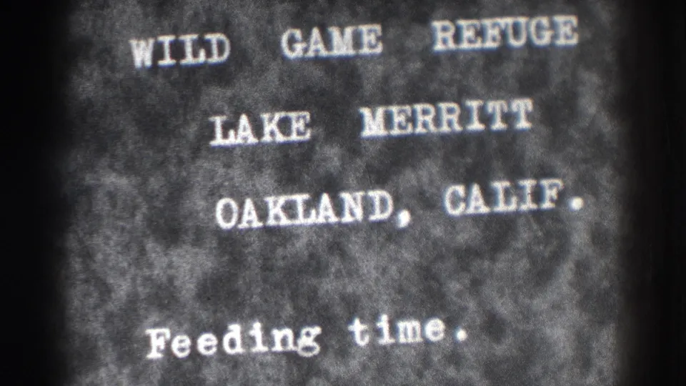 Final sampled frame of the 1937 Oakland title card, identifying Lake Merritt Wild Game Refuge and feeding time on a dark card.