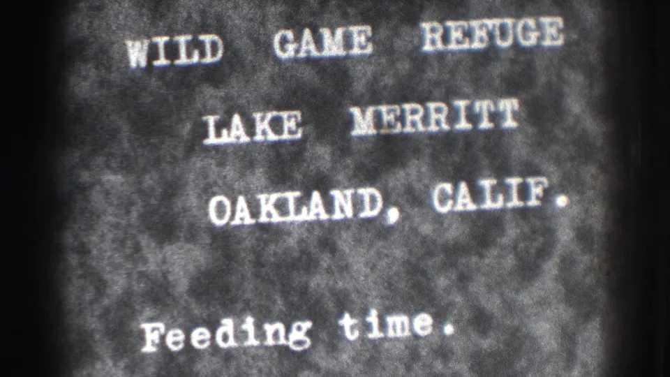1937 8mm title card for Wild Game Refuge at Lake Merritt in Oakland, California, with feeding time text below.