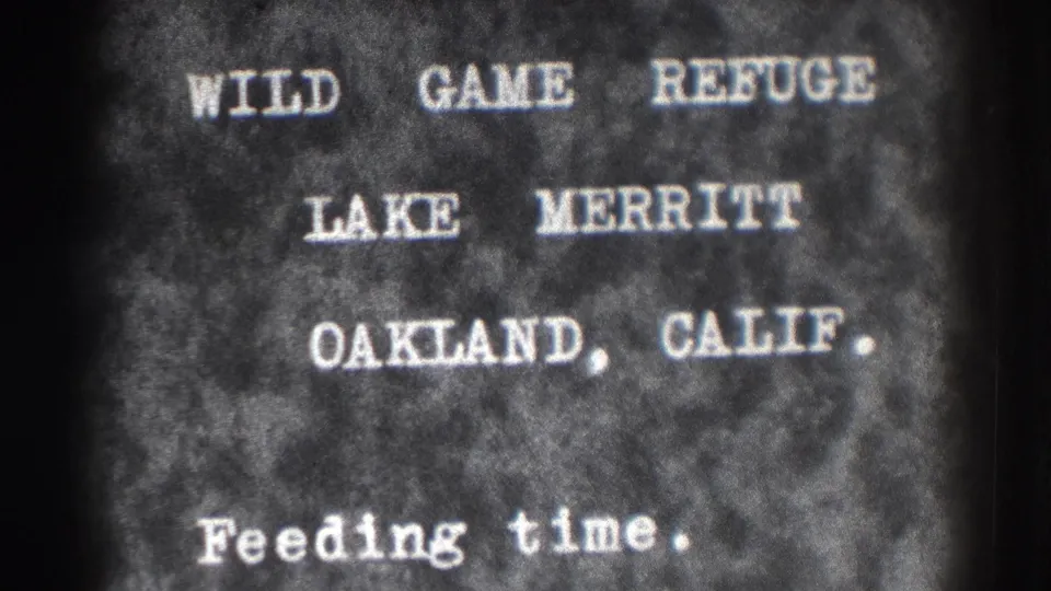 Soft 8mm frame shows the Lake Merritt Wild Game Refuge title card for Oakland, California, with feeding time caption.