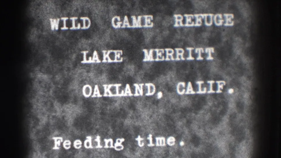 1937 Oakland home-movie title card repeats the Lake Merritt wild game refuge identification with visible grain and soft focus.