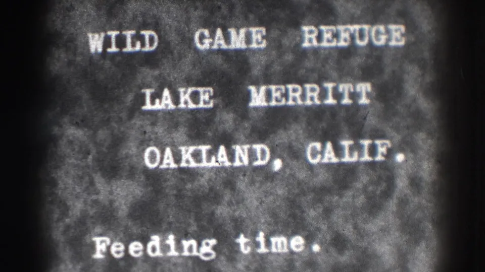 Final still shows the 1937 Lake Merritt Wild Game Refuge title card in Oakland, California, on dark grainy 8mm film.