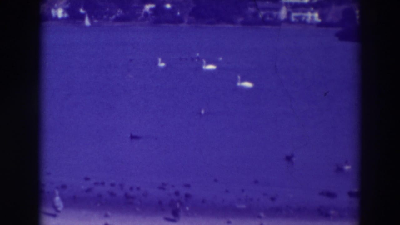 1937 Oakland home-movie frame showing swans and ducks on a deep blue lake, with small birds gathered near the lower shoreline.