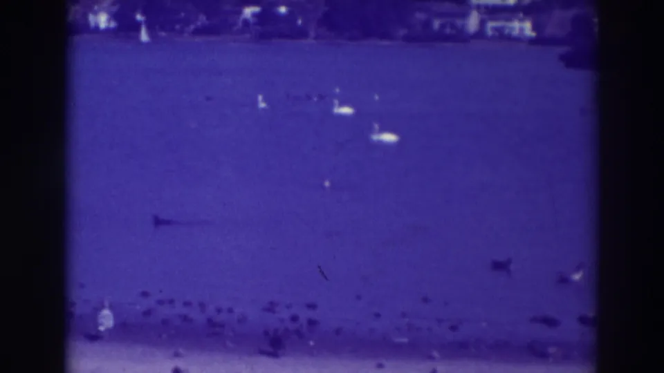 1937 Oakland lake frame with several swans, scattered dark ducks, and a row of small shoreline birds in soft purple-blue 8mm color.