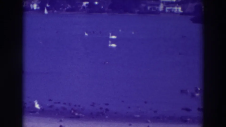 1937 Oakland home-movie frame showing white swans on blue water with smaller birds near the shore.