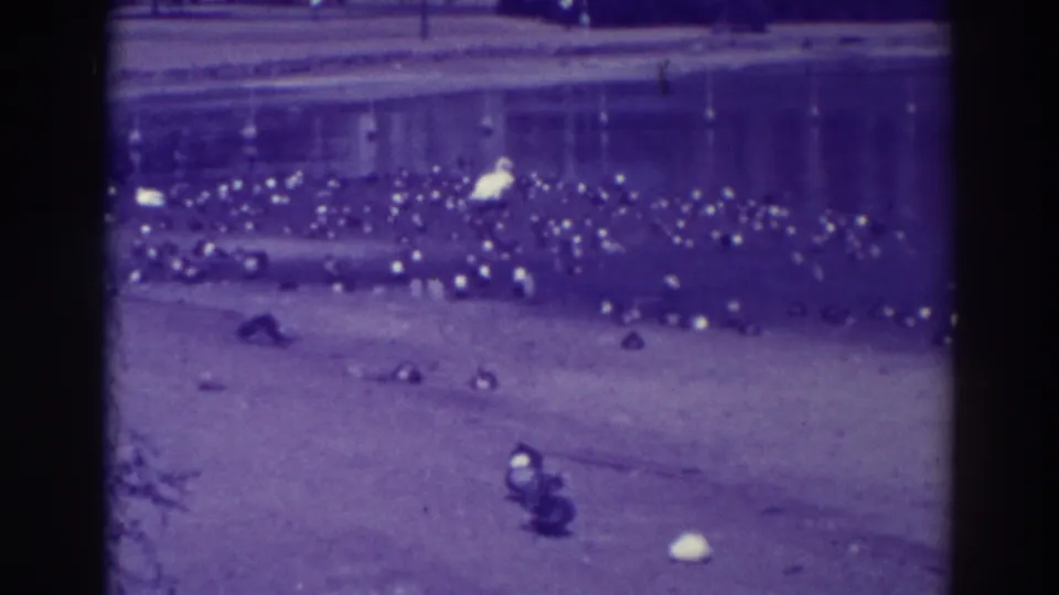 1937 Oakland home-movie frame with many ducks spread across the shoreline and a white egret-like bird visible near the water.