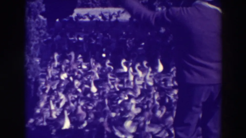 A standing adult at the right edge appears near a large flock of ducks and geese in 1937 Oakland footage.