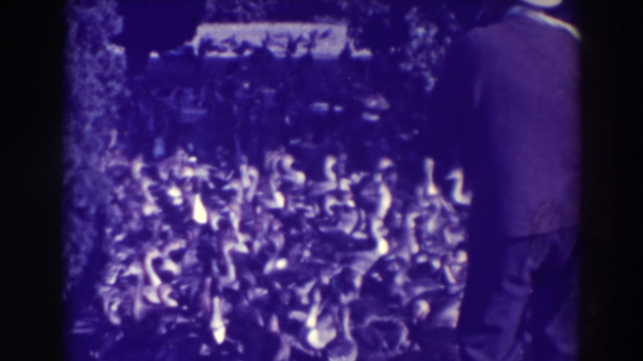 Suited man with hat and briefcase stands before a large flock of geese.