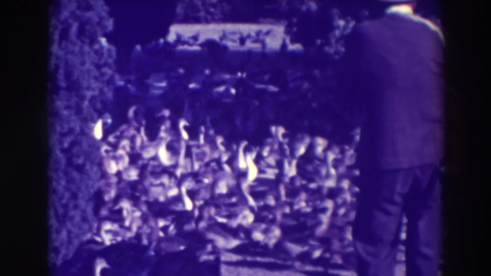 A purple-cast 8mm frame shows many geese in a park-like area, with the suited man partly visible at the side.