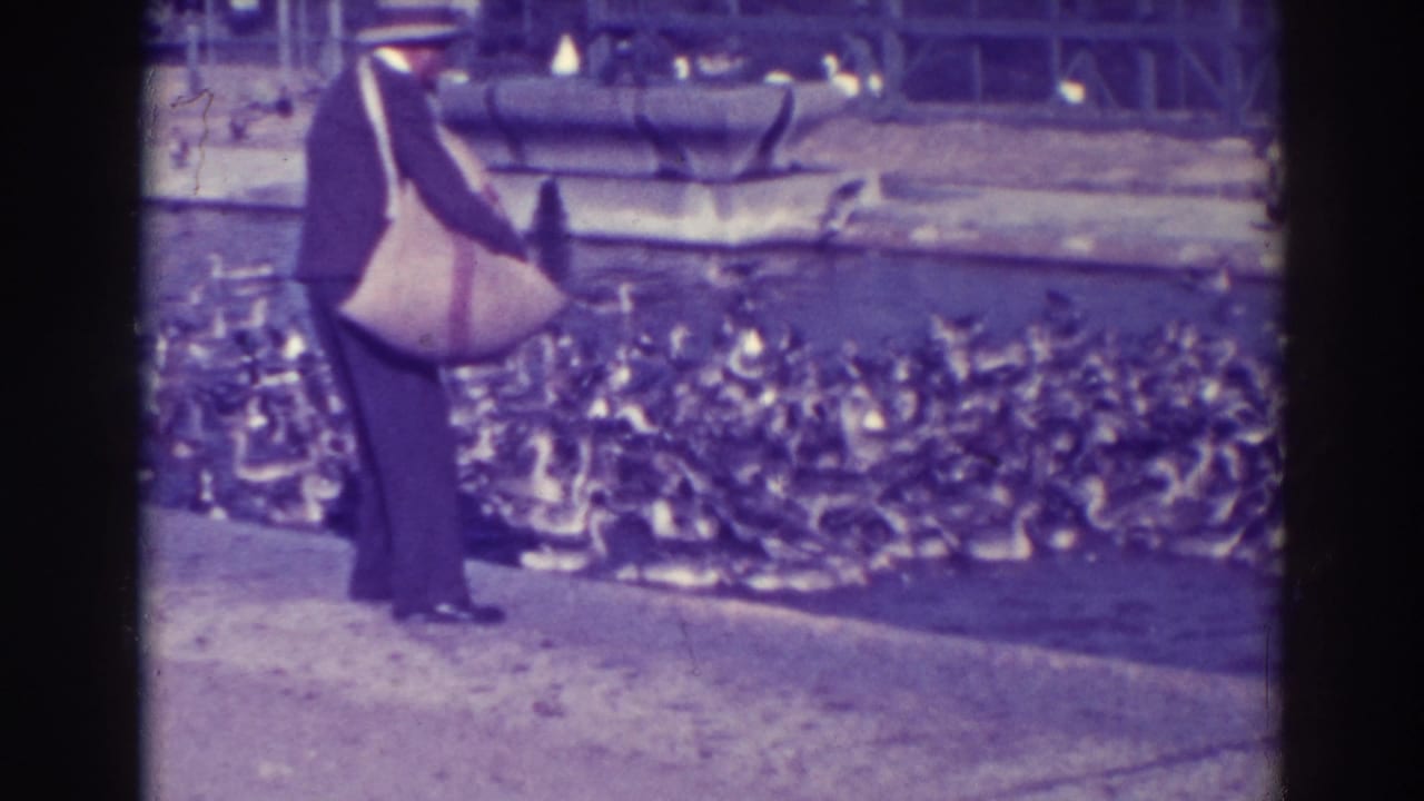 Man in a dark suit and hat feeds a large flock of ducks beside a pond.