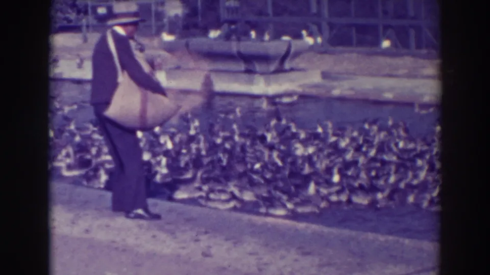 A man in a dark suit and hat, identified by metadata as filmed in Oakland in 1937, stands above a dense flock of ducks at a pond.