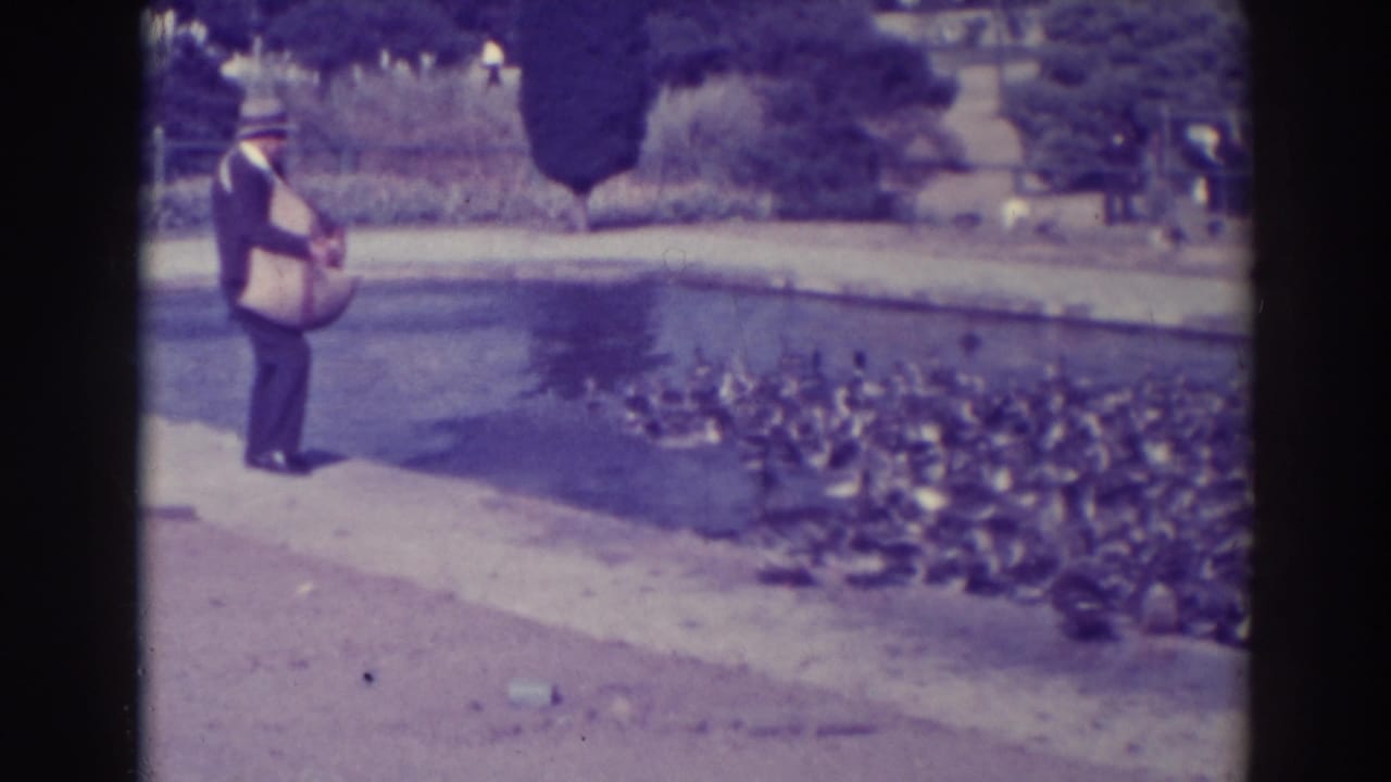 1937 Oakland home-movie frame showing a man with a bag feeding ducks gathered along a park pond.