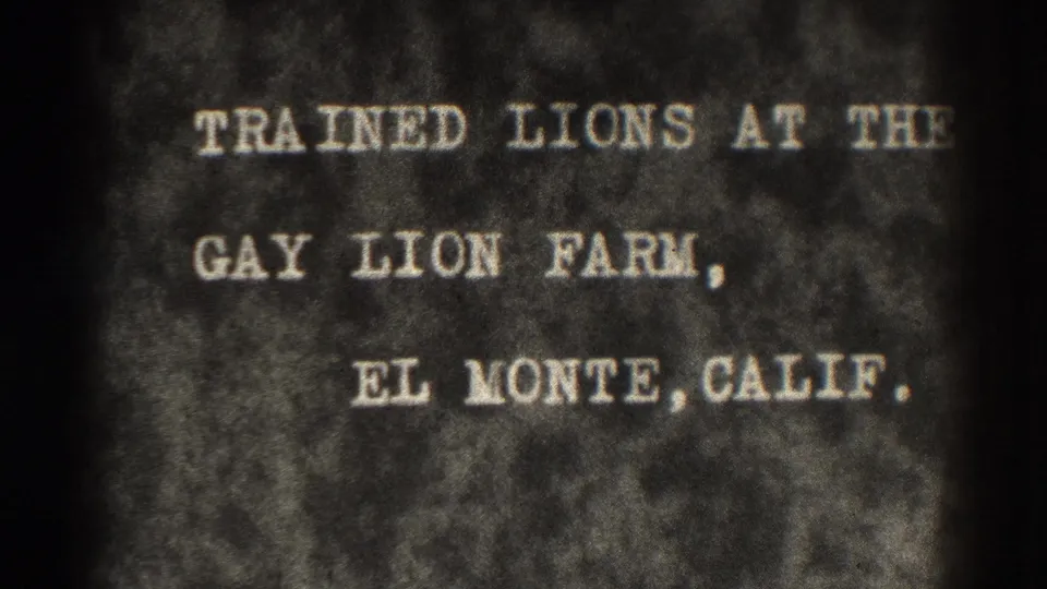Black-and-white 8mm title card stating trained lions at the Gay Lion Farm in El Monte, California.