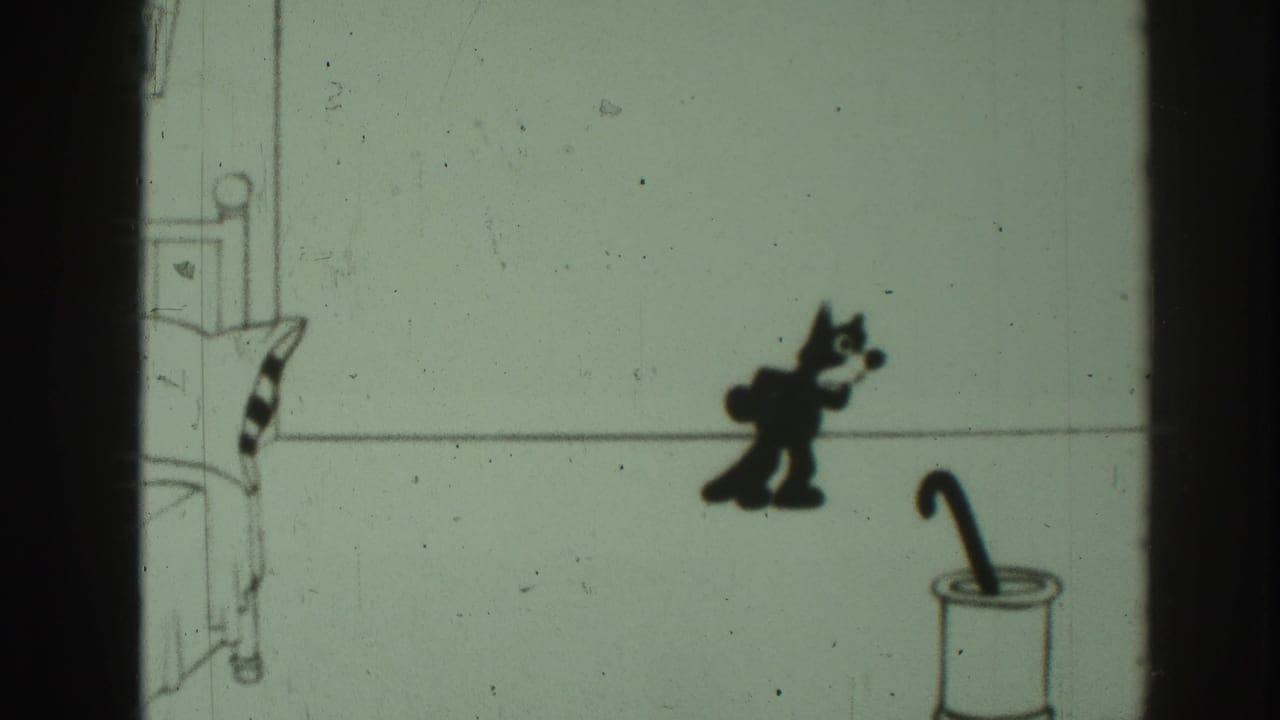 Black cartoon cat approaches an umbrella stand in a simple drawn room.