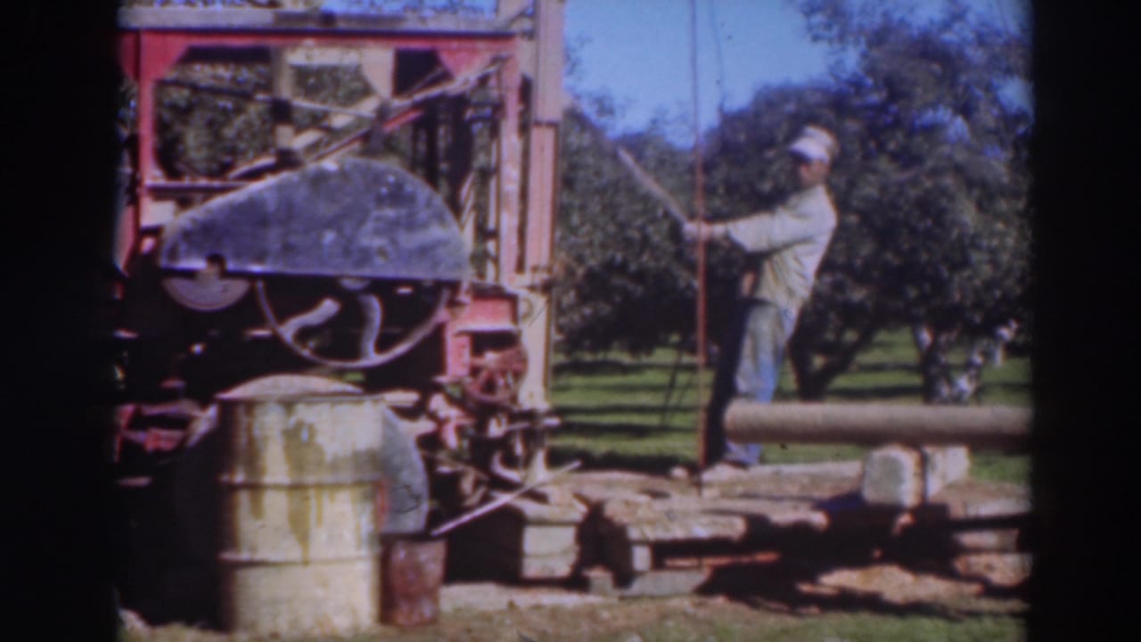 Man operating a red portable sawmill beside a log in an orchard setting.