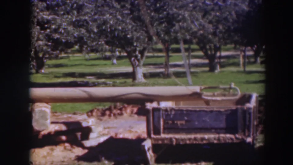 The beam lies across the foreground at the Sacramento orchard worksite, with stone supports, a dark box-like structure, grass, and tree rows beyond.