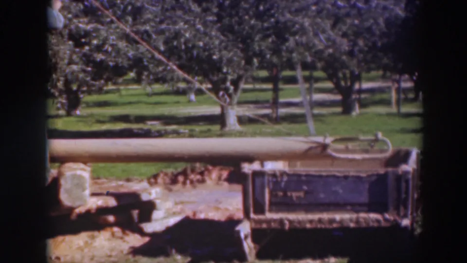 A static view of the 1937 Sacramento orchard worksite shows the long beam across the foreground and rows of trees beyond.