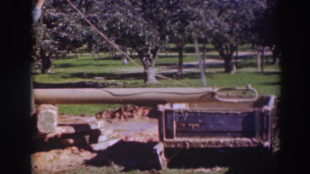 1937 Sacramento 8mm frame showing a long wooden beam, rope, metal frame, grass, and rows of trees in bright daylight.