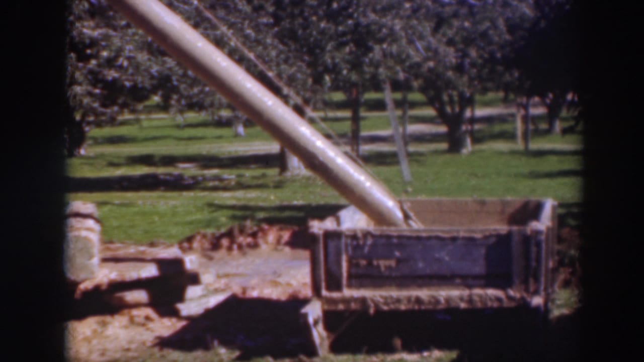 Wooden chute feeding harvested material into a crate beside orchard trees.