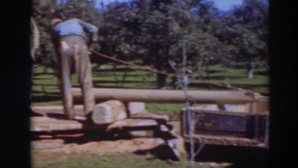 1937 Sacramento-area frame with one worker bent over a log and another near the saw rig in an orchard-like outdoor setting.