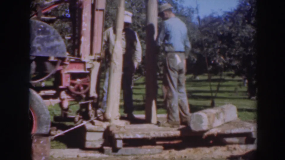 Two men stand at a wooden post-driving setup in a rural Sacramento orchard, with trees and grass behind them.