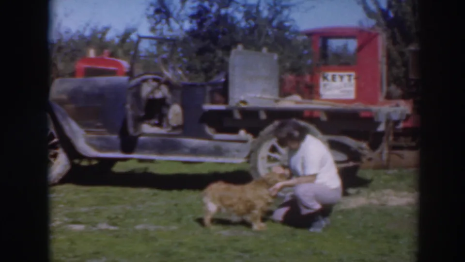 The woman remains kneeling on grass, petting the small dog while a red truck and black automobile sit in the background.