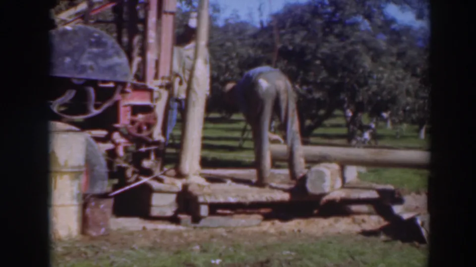 The man leans over the orchard equipment, with the long log positioned near the platform and trees visible behind him.