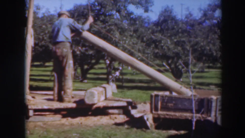 The man steadies the long log at an angle near the orchard machinery, with rows of trees and grass in the background.