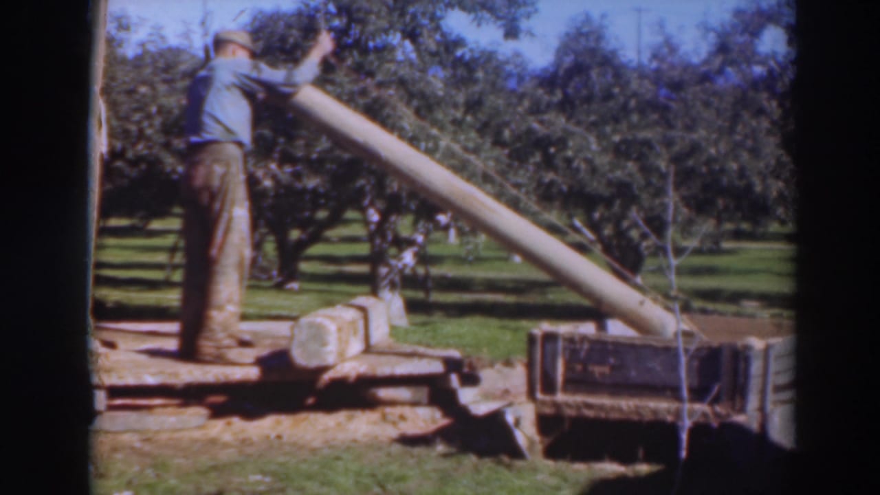 Man in a cap stands on a wooden platform beside a long pole in an orchard.