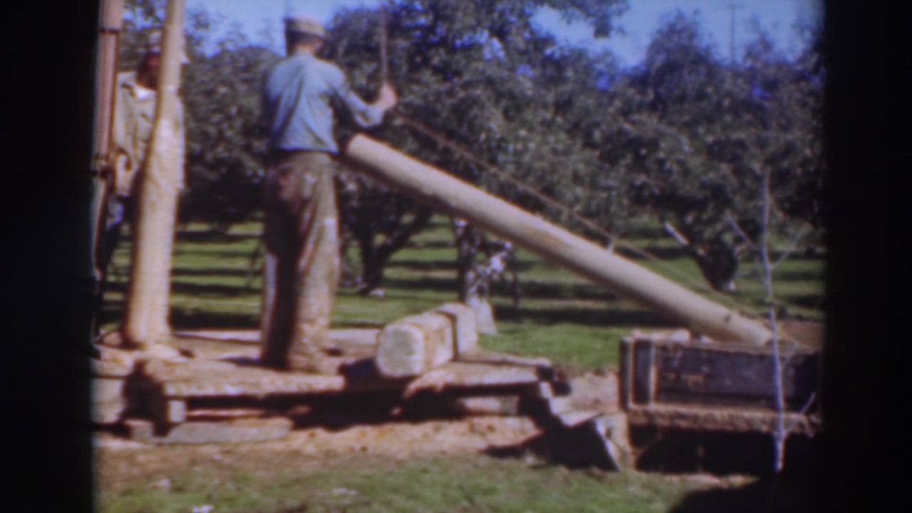 Man reaches toward a long angled pole while standing on a platform in an orchard.