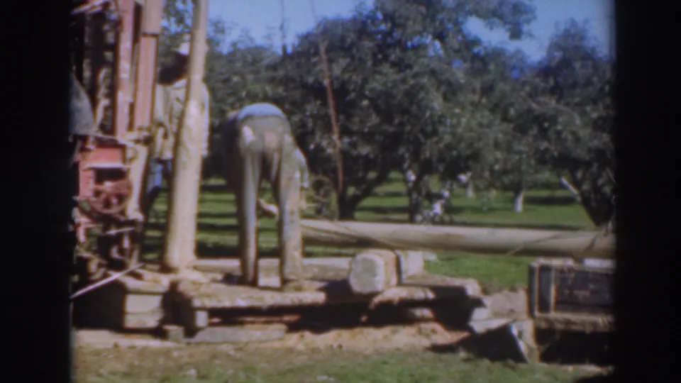 A farm worker appears bent over near a vintage loader and large beam, with Sacramento orchard trees in the background.