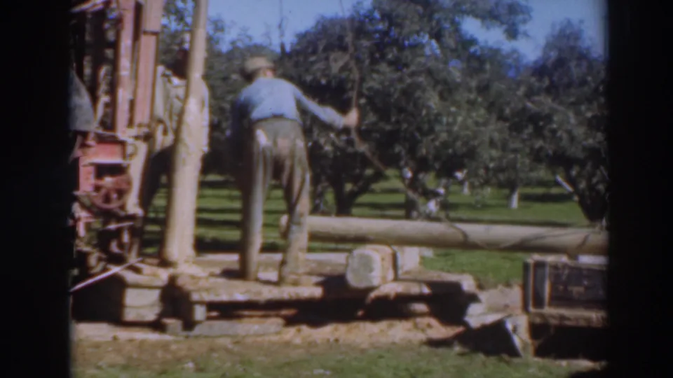 A capped worker operates or guides equipment beside a long wooden beam in a 1937 Sacramento orchard scene.