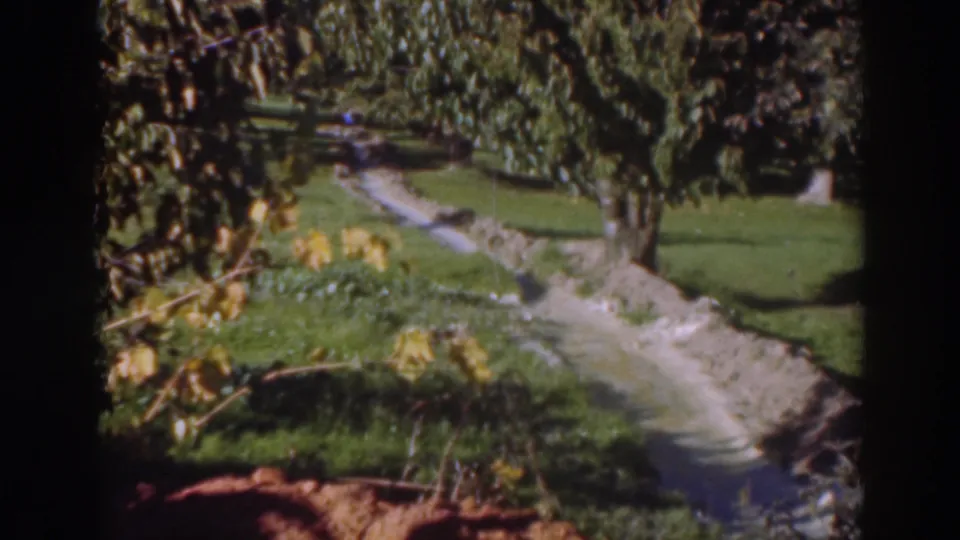 A wooded Sacramento park scene shows grass, dense foliage, and a narrow irrigation ditch or stream in 1937 home-movie footage.