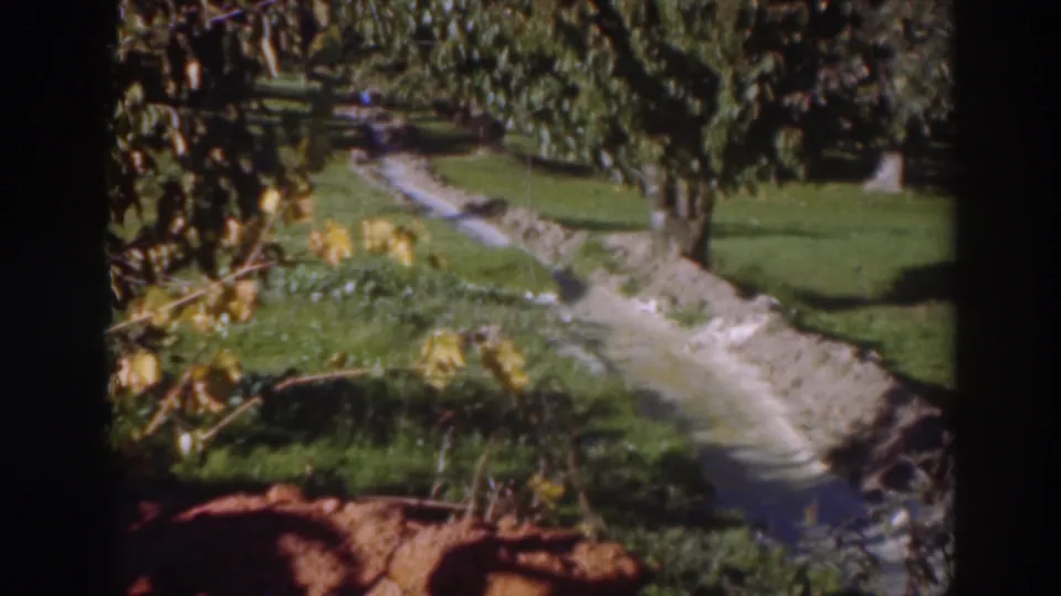 1937 Sacramento 8mm frame showing a grassy tree-lined area and a pale ditch or path curving across the foreground.