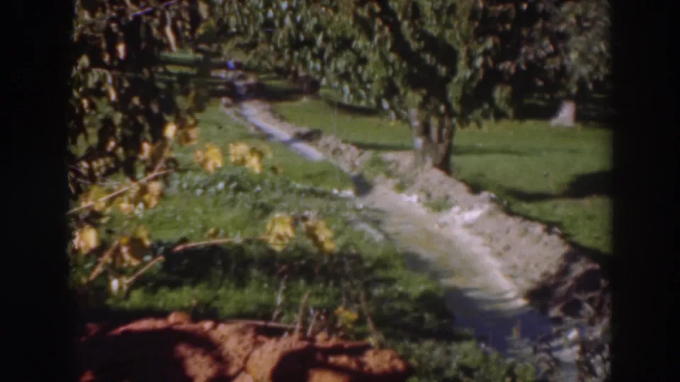 Late-1930s Sacramento home-movie frame of grass, foliage, and a narrow grey ditch or path under bright daylight.