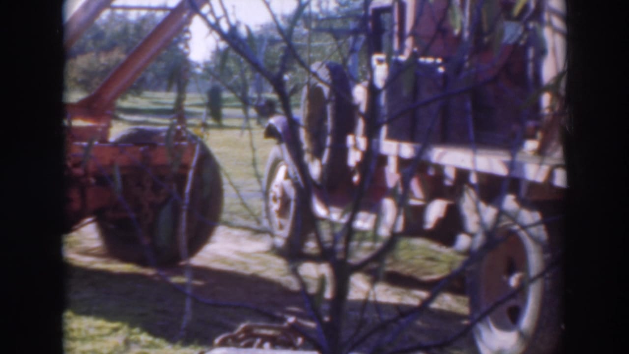 Tractor and farm trailer partly seen through tree branches in a grassy field.
