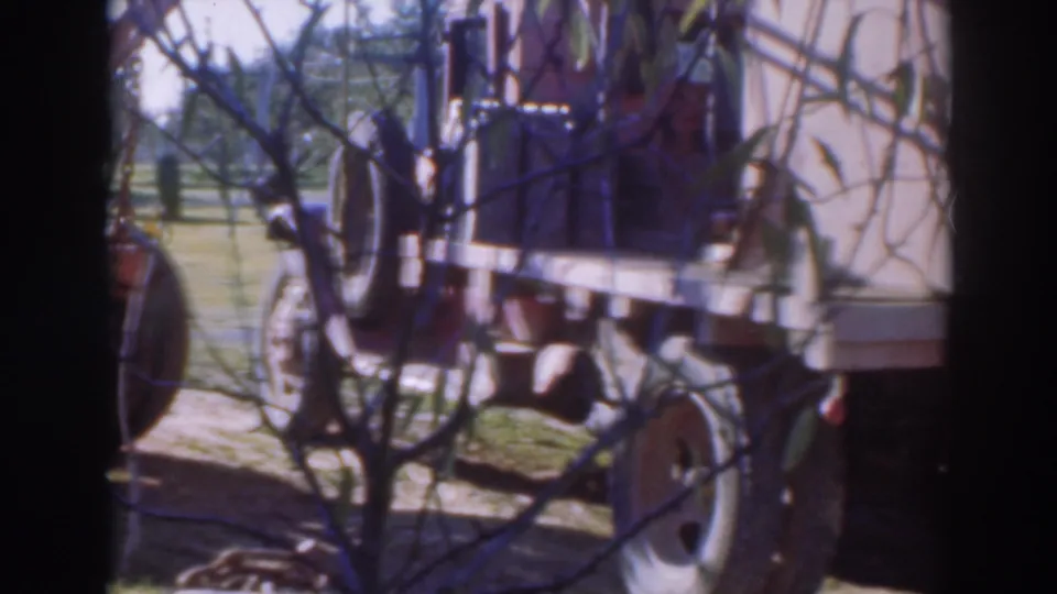 The trailer side and rear hardware appear behind leafy branches, with the rural field continuing in the background.