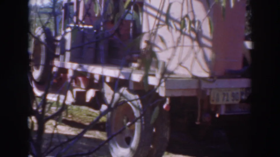 A rear view of the farm trailer shows a license plate, wheel, and hitch details in a Sacramento rural setting.