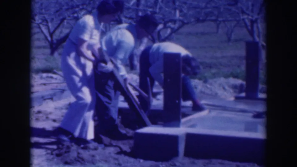 Three adults in 1937 Sacramento footage lift or position a wooden beam beside a concrete base in an orchard.
