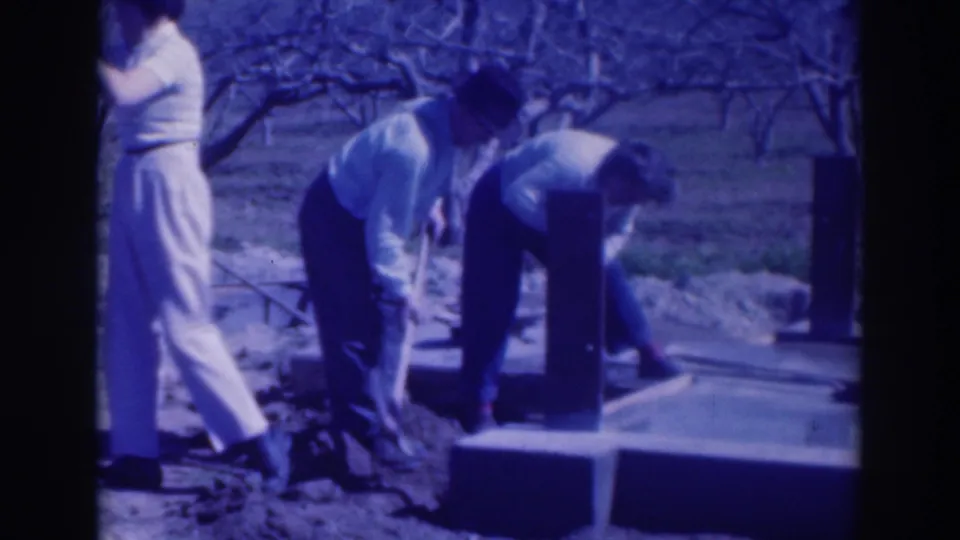 A woman in light clothing stands at left while two adults dig near a concrete foundation in Sacramento orchard footage from 1937.