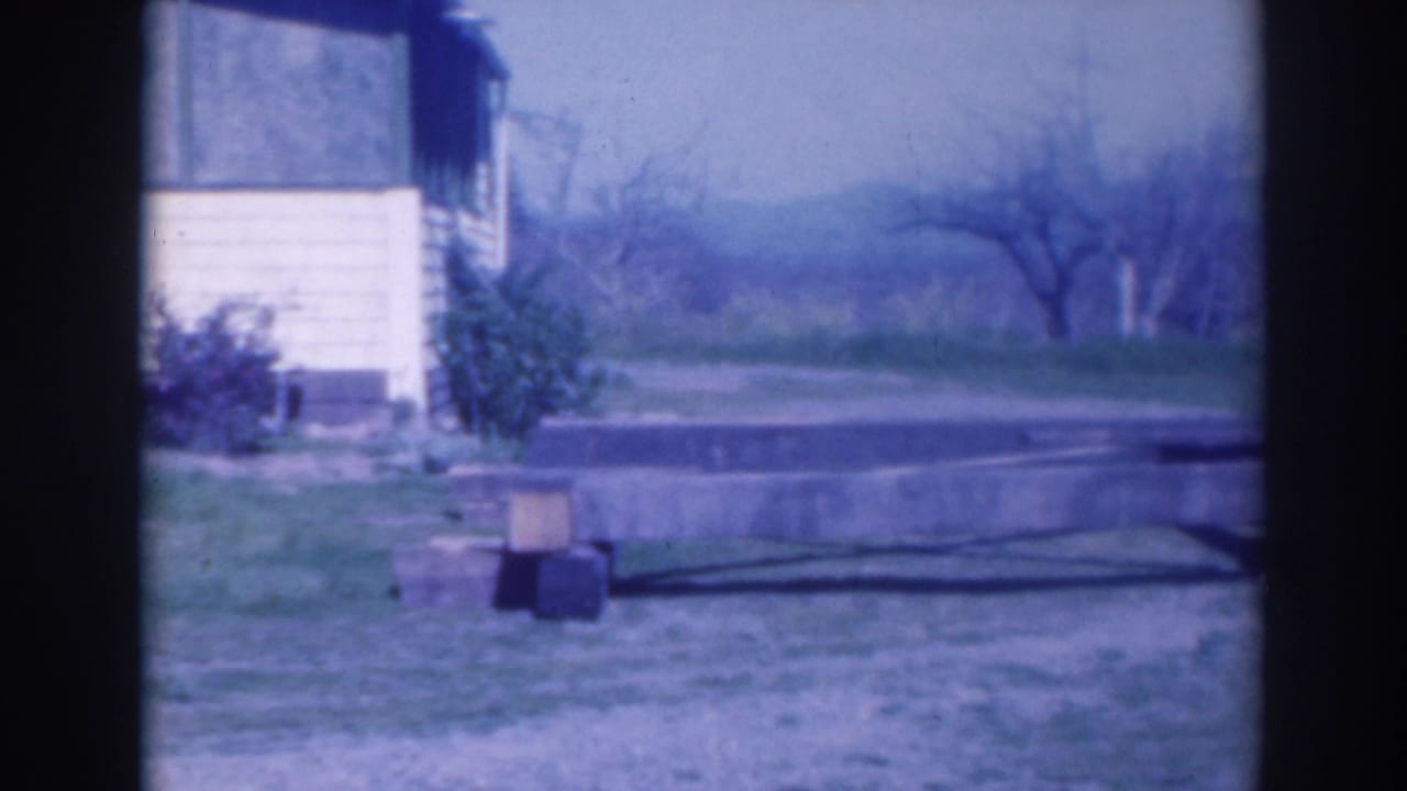 A small building edge, concrete slab, lawn, and orchard trees are visible outdoors.