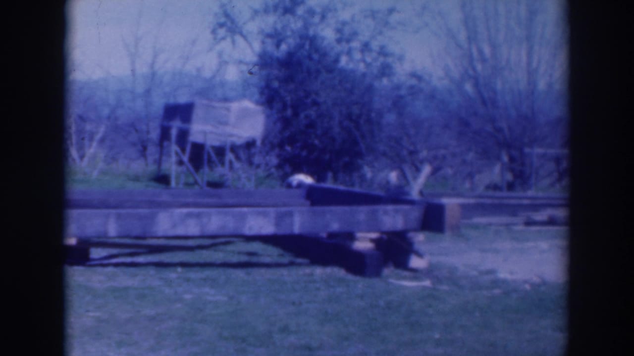 1937 Sacramento home-movie frame showing a grassy yard, low wooden platform, shrubs, bare trees, and a small shed-like structure.