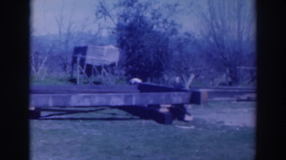 1937 Sacramento home-movie frame showing a grassy yard, low wooden platform, shrubs, bare trees, and a small shed-like structure.