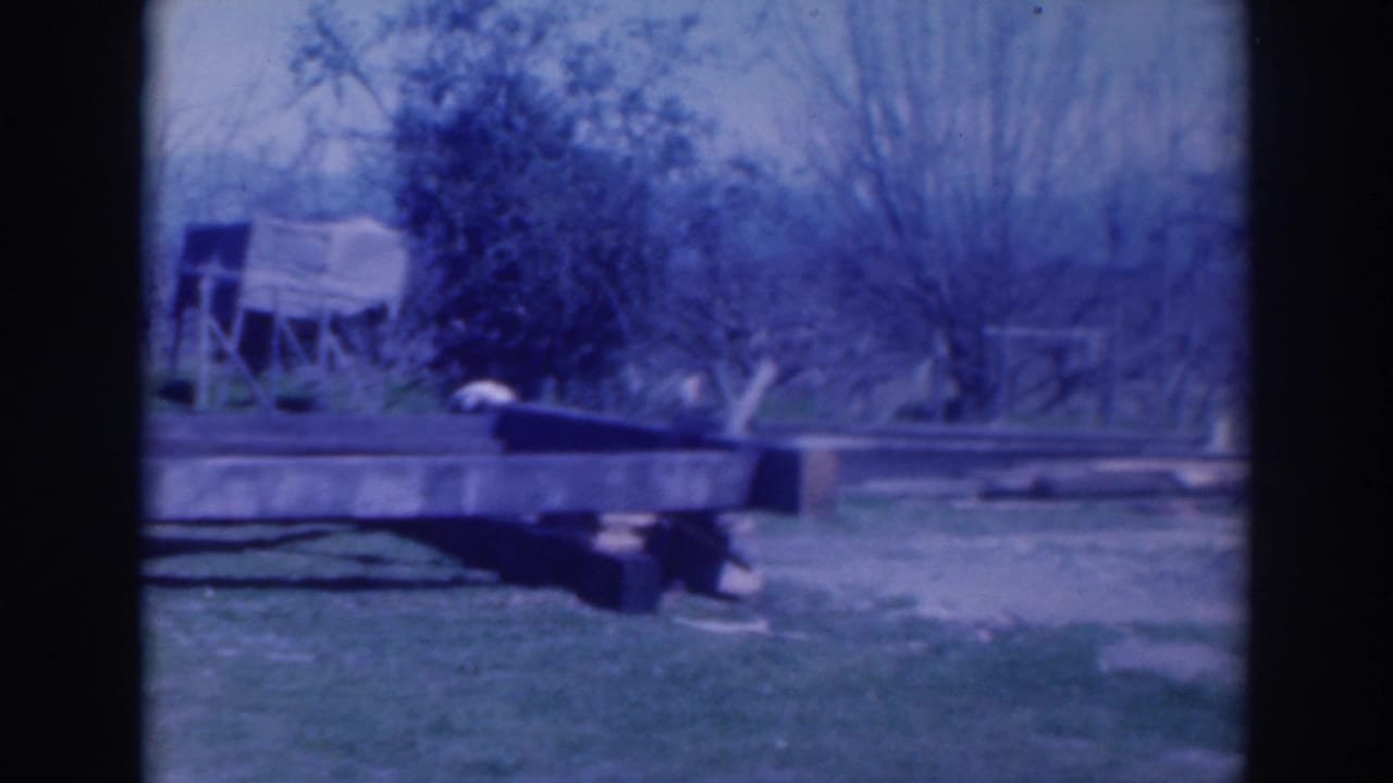 Static yard view with a wooden platform in the foreground and leafless trees and shrubs behind it.